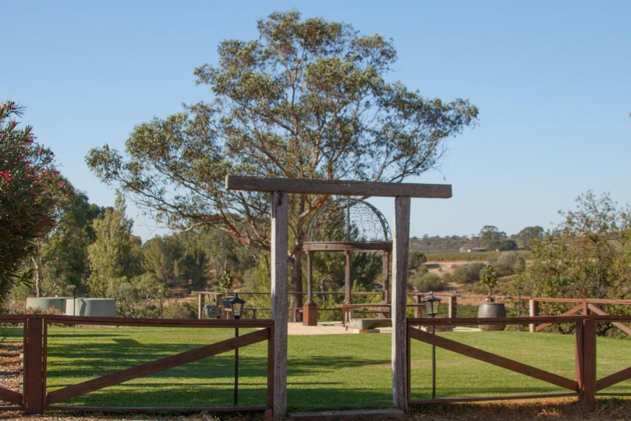 Angaston Vineyards Motel Luaran gambar