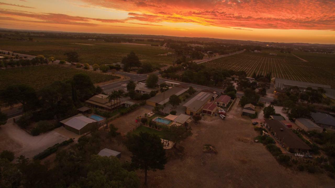 Angaston Vineyards Motel Luaran gambar